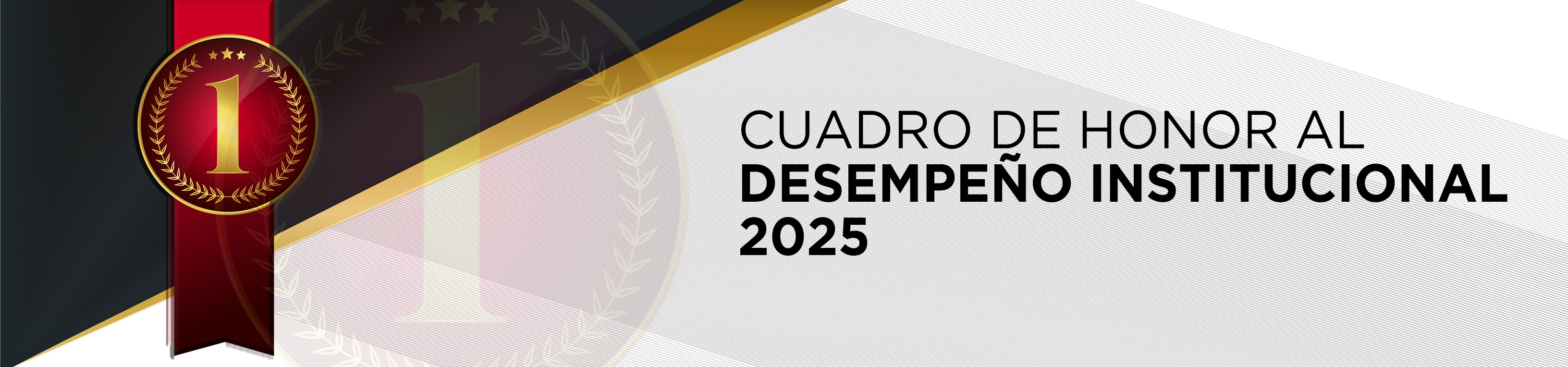 Desempeño Institucional 2025