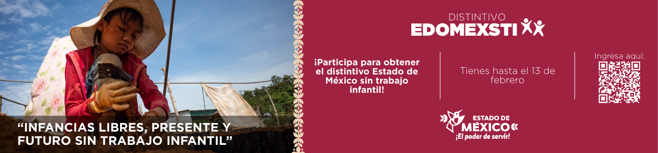 Distintivo EDOMEXSTI